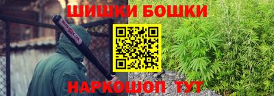 прущие грибы Малгобек