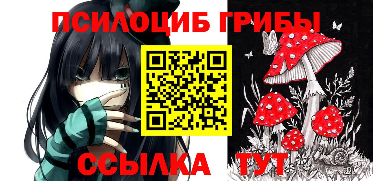 Усть-Илимск  Псилоцибиновые грибы прущие грибы  Вход с VPN 